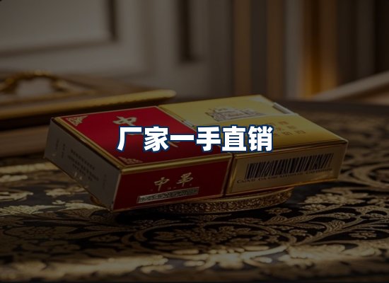 专业团队办公环境
